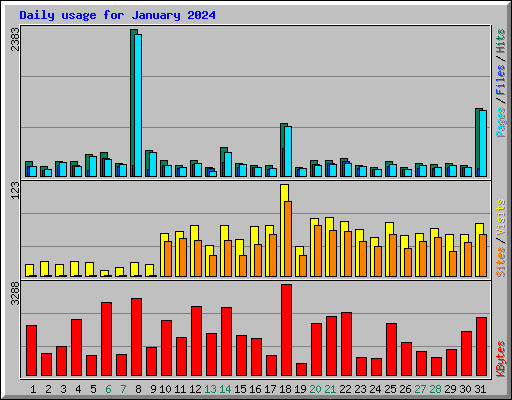 Daily usage for January 2024