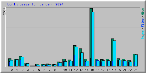 Hourly usage for January 2024