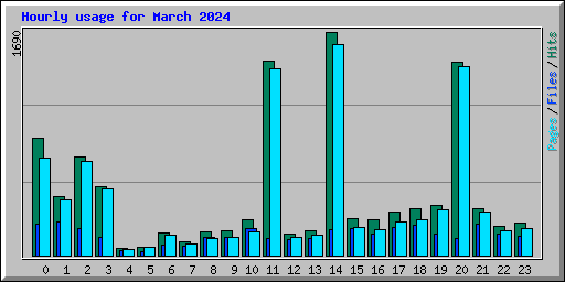 Hourly usage for March 2024