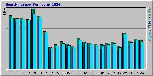 Hourly usage for June 2024