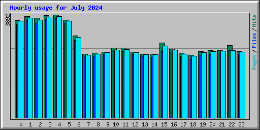 Hourly usage for July 2024