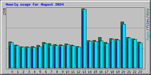 Hourly usage for August 2024